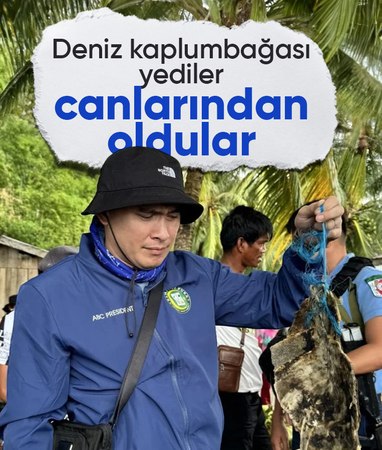 Filipinler'de deniz kaplumbağası yiyen 3 turist öldü