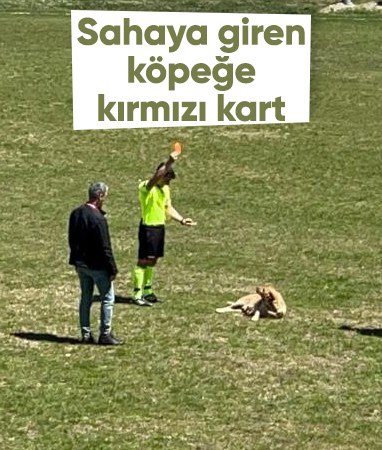 Konya'da amatör maçta sahaya giren köpeğe kırmızı kart