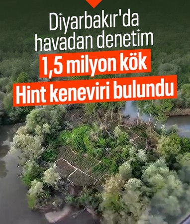 Diyarbakır'da uyuşturucu operasyonu: Yüklü miktarda Hint keneviri ele geçirildi