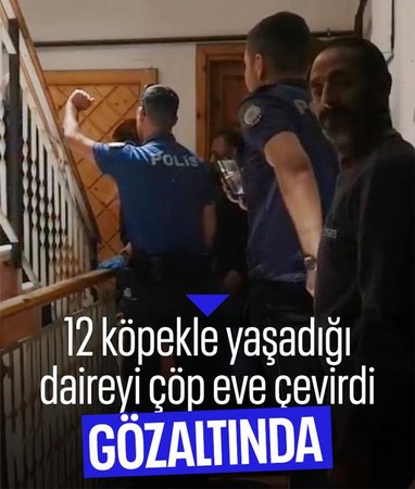 Manisa'da 12 sokak köpeğiyle yaşayan kadına gözaltı