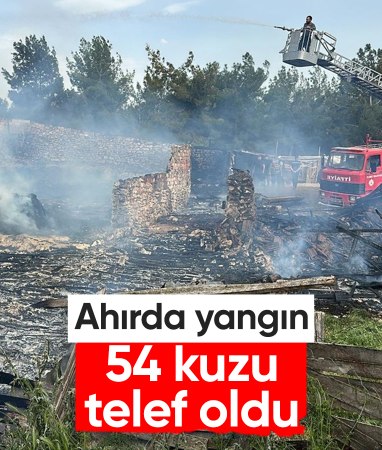 Uşak’ta ahır yangını: 54 kuzu telef oldu