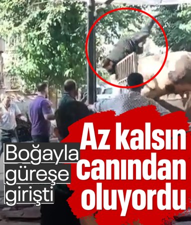 Şanlıurfa'da kasap ölümden döndü