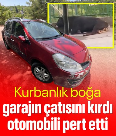 İzmit'te kurbanlık boğa, garaj çatısını kırıp otomobilin üzerine düştü