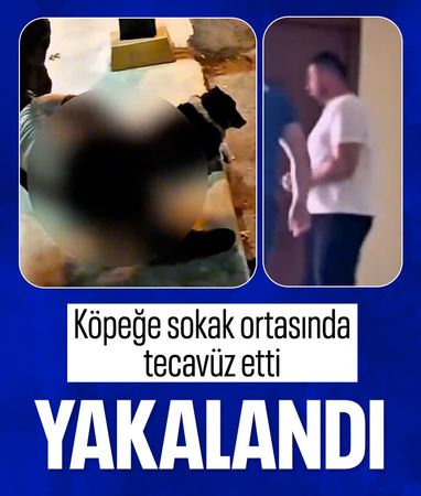 Pendik'te skandal görüntü: Köpeğe tecavüz ederken görüntülendi