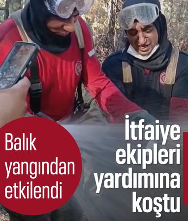 İzmir'deki orman yangınında canlı bulunan balığı itfaiye ekipleri kurtardı
