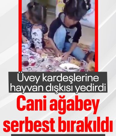 Diyarbakır'da üvey kardeşlerine dışkı yedirdiği iddia edilen ağabey serbest bırakıldı