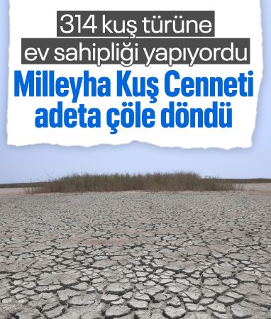 En kurak yılını yaşayan Hatay'da Milleyha Kuş Cenneti kuruyarak çöle döndü