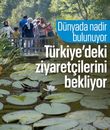 Sakarya Acarlar Longozu, ziyaretçilerini bekliyor