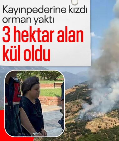 Aydın'da kayınpederiyle tartışıp, araziyi ateşe verdi