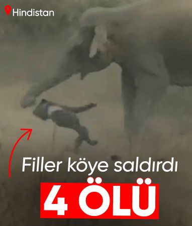 Hindistan'da fil sürüsü köye saldırdı:  4 ölü