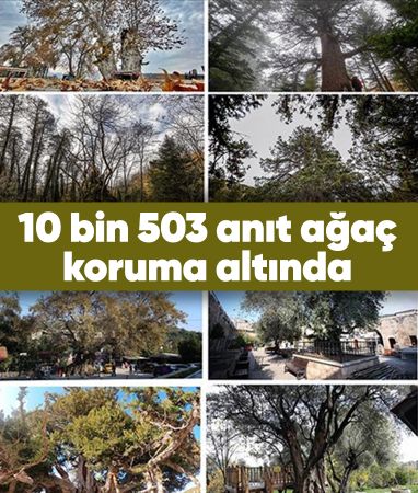 Türkiye’nin doğal mirası güvence altında