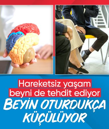 Hareketsiz yaşam beyni tehdit ediyor: Otururken beyniniz küçülmesin