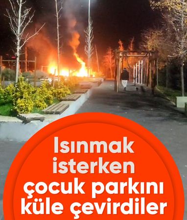 İstanbul'da ısınmak isterken park küle döndü