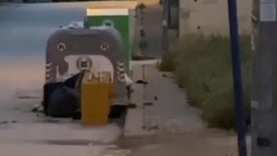 Ankara'da sağanak yağmurun ardından caddeleri fare bastı