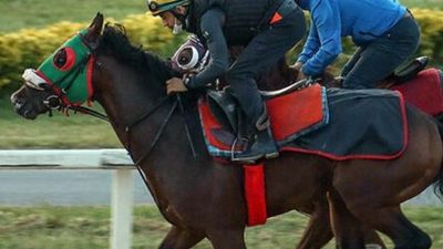 At yarışları yeniden başladı