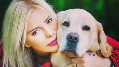 Ömür Gedik'ten sokak köpeklerinin toplanmasına tepki