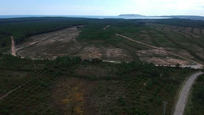 Cumhurbaşkanı Erdoğan’ın işaret ettiği Sinop NGS bölgesi görüntülendi