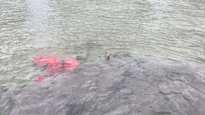 İstanbul'da midye avcıları yakalandı