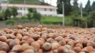 Giresun'un İtalyan kardeşi oldu