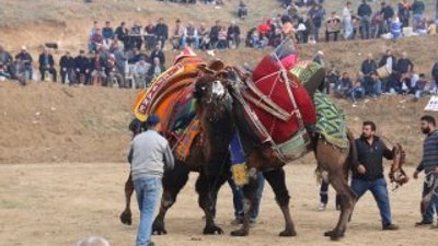 Develer aşevi yararına güreşti