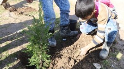 Suriye’de okul çevreleri İHH projesiyle ağaçlandırılıyor