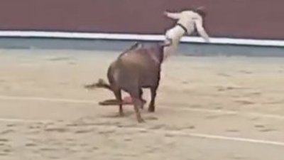 Boğayla oynayan matadorun zor anları