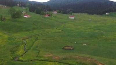 Trabzon'un Mor Yayla'sı havadan görüntülendi