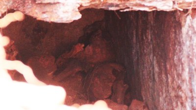 Muğla'da su kanalı kazısında antik mezar bulundu