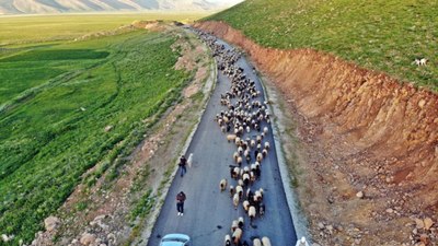 Hakkari'de göçerlerin yayla yolculuğu başladı