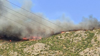 Mersin'deki yangınlara havadan müdahale yeniden başladı