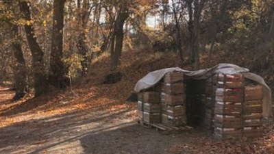 Karaman'da çaldığı elmaları satmaya götüren kişi yakalandı