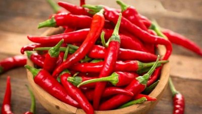 Scoville (acılık ölçeği) nedir