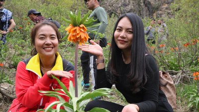 Hakkari'deki ters laleleri görmek için Tayland'dan geldiler