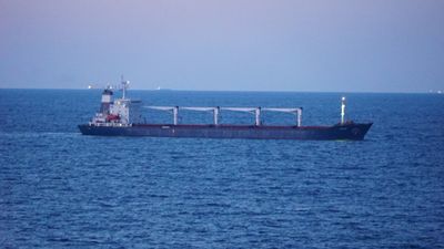 Odessa'dan çıkan Ukrayna gemisi yarın İstanbul'da denetlenecek