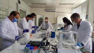Hastalıklara dayanıklı yerli şeker pancarı geliştirildi