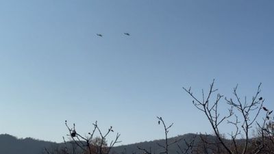 Tunceli'de teröristi MİT buldu, jandarma etkisiz hale getirdi