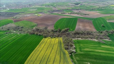 Depremlerin ardından Trakya'daki arsalara ilgi arttı