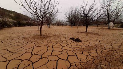 Adıyaman'da sel felaketinden sonra meyve bahçeleri çamur ve taşlarla kaplandı