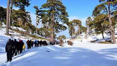 Ekoturizm kapsamında 89 rota, 4 milyon doğaseveri ağırladı