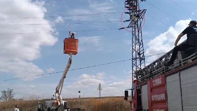 Tekirdağ'da yüksek gerilim hattında asılı kalan leyleği itfaiye kurtardı