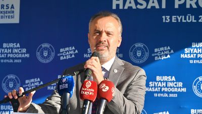 Bursa'nın marka tarım ürünleri! Siyah incir hasatı başladı...