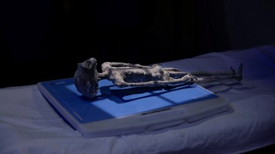 Meksika'da uzaylı iddiası bulunan kalıntılara röntgen çekildi