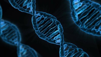 Yapay zeka DNA'da hastalığa yol açan genleri tanımladı