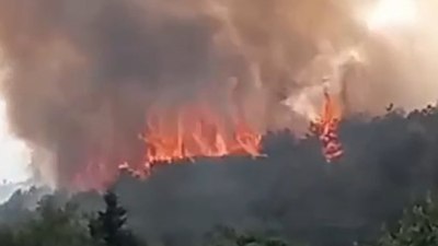 Kocaeli'nin Gebze ilçesinde orman yangını