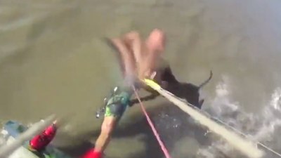 Arjantin'de saldırgan köpek sörfçüyü denizde yakaladı
