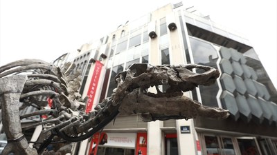 Fransa'da 150 milyon yıllık dinazor iskeleti satışa çıkıyor