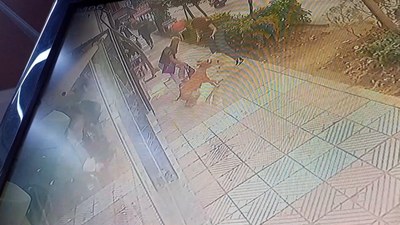 Manisa'daki başıboş pitbull, anne ve kızına dehşeti yaşattı