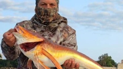 Sinop'ta oltası ile 5 kilo ağırlığında kırlangıç balığını yakaladı