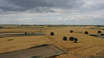 Gayrimenkul yatırımcısının gözü Trakya'da