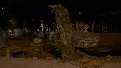 Bursa'da lodos etkili oldu: Asırlık ağaçlar devrildi